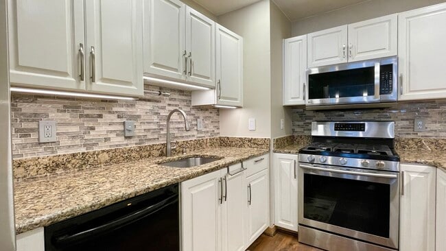 Kitchen - 291 Vasser Dr