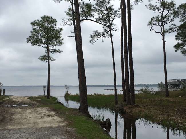 Building Photo - Perdido Isle Apartment Homes