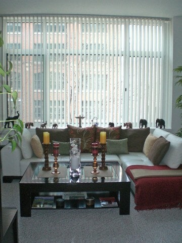 Living area - 211 E Ohio st.