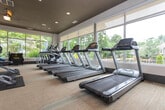 This fitness center is a thoughtfully designed, single-floor facility offering a comprehensive workout environment for users of all fitness levels. The space is divided into distinct functional zones, each catering to different aspects of physical training.

The cardio area is a standout feature, lined with a row of treadmills and an elliptical machine positioned directly in front of expansive floor-to-ceiling windows. These large windows flood the space with natural light and offer a scenic view of an outdoor pond, lush greenery, and surrounding landscaping, creating an inviting atmosphere for cardio workouts.

The strength training area is equally well-appointed, featuring a fully stocked dumbbell rack, adjustable weight benches, and a cable machine, all set against a backdrop of a dark, rich ceiling that adds a modern, sophisticated contrast to the bright white walls. A wall-mounted flat-screen television provides entertainment during workouts.

Additional equipment includes stability and medicine balls, a cable cross trainer, and a functional training sled, catering to dynamic and versatile workout routines. The flooring throughout is a durable, light-toned material that complements the overall clean aesthetic of the space. Recessed lighting enhances visibility across all zones, while windows on multiple walls ensure the facility remains bright and airy throughout.