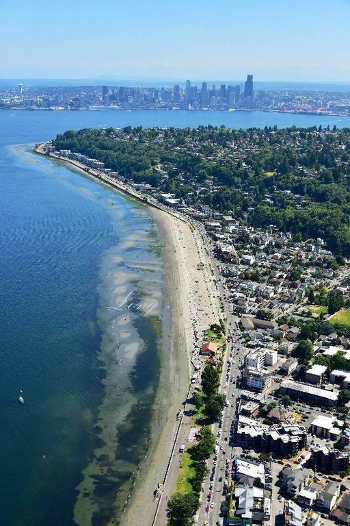 Building Photo - Alki Apartments