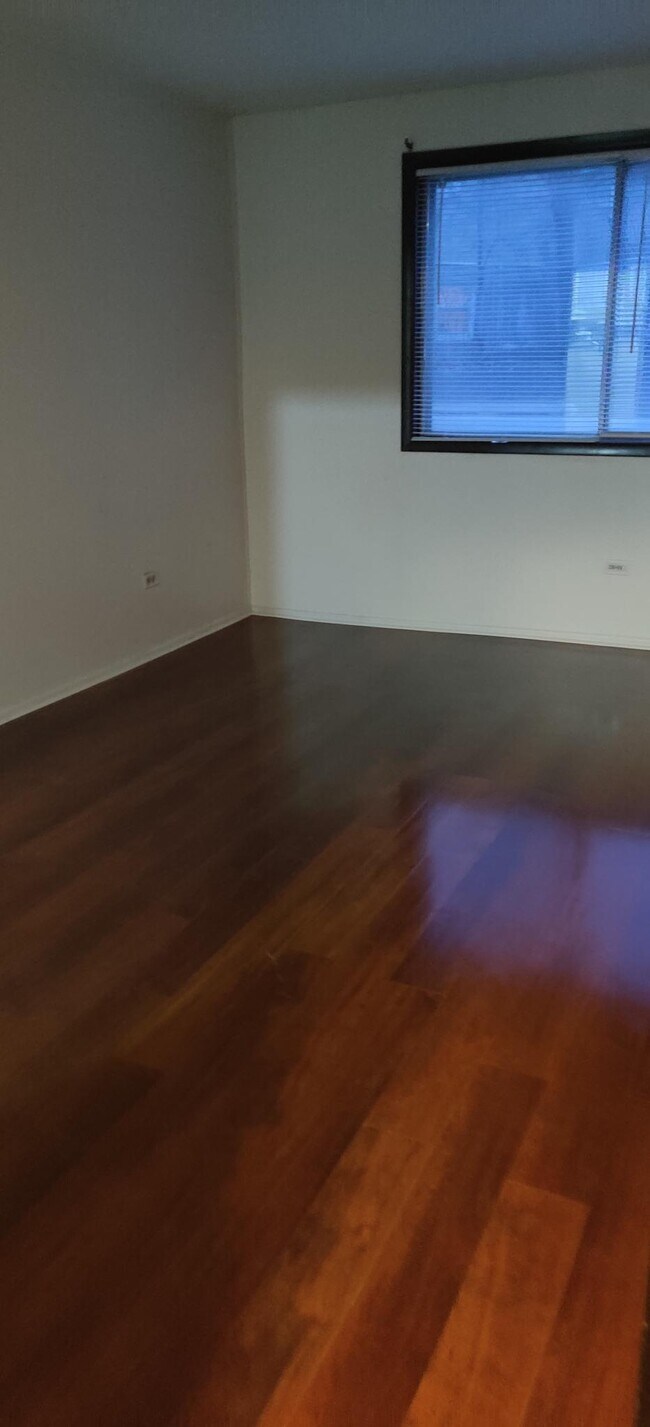 215 S Hale St Unit B2, Addison, IL 60101 Condo for Rent in Addison