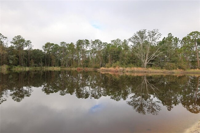 Building Photo - 2803 Lotus Flower Trl