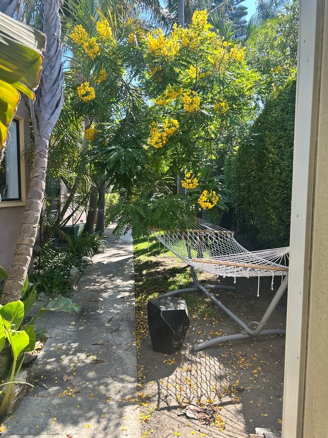 Grassy Area - 2538 1/2 Military Ave