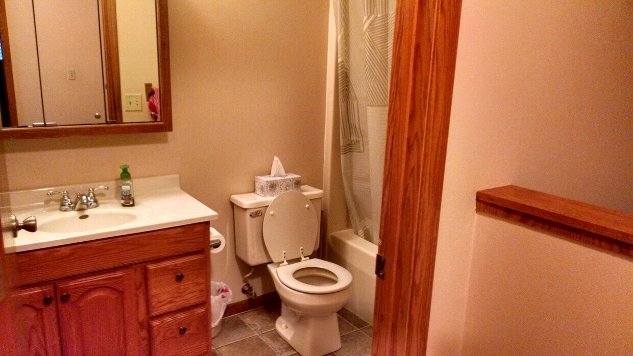 Bathroom - 617 Walden Ct