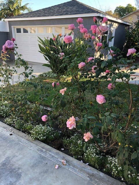 Building Photo - 5328 E Lanai St