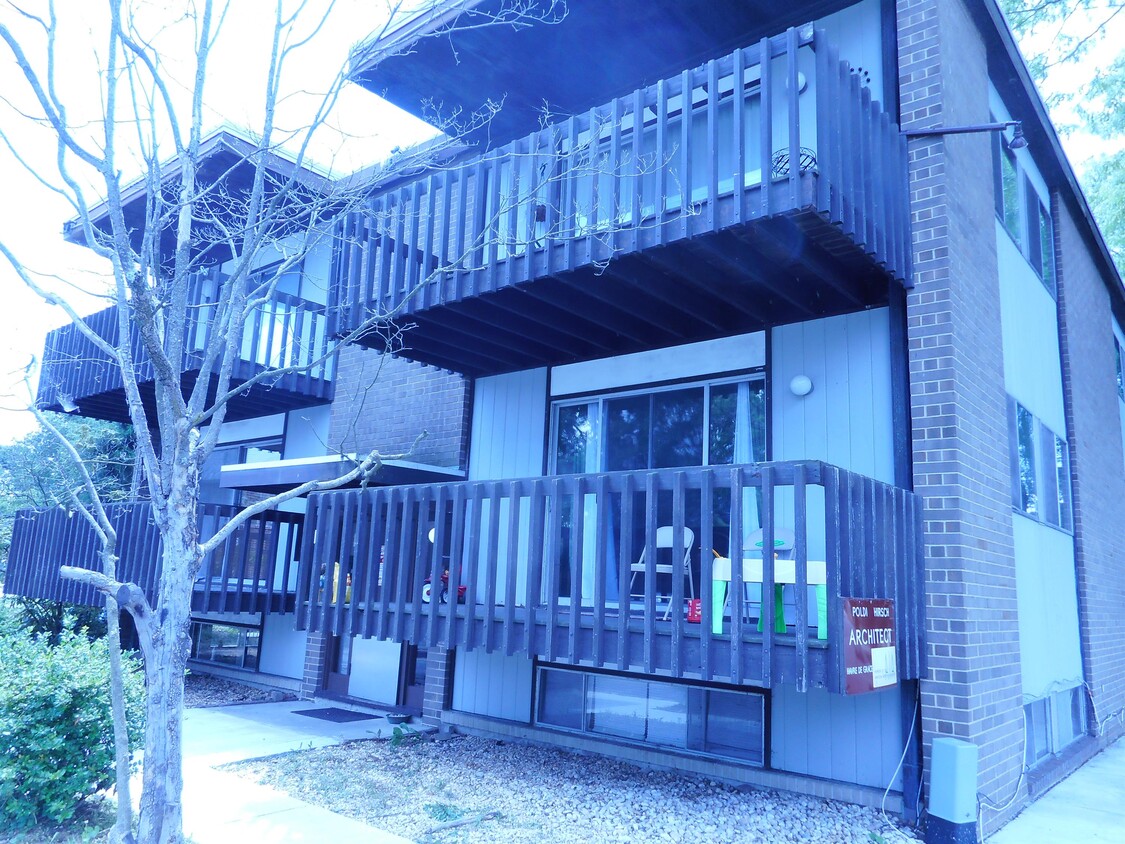 Primary Photo - 710 Lewis St
