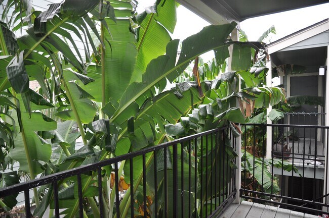 Foto del edificio - 3754 Tanglewilde St