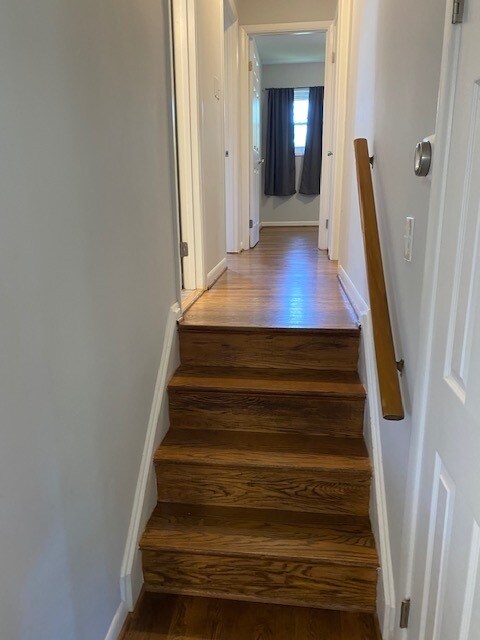 Building Photo - 206 Aragona Dr