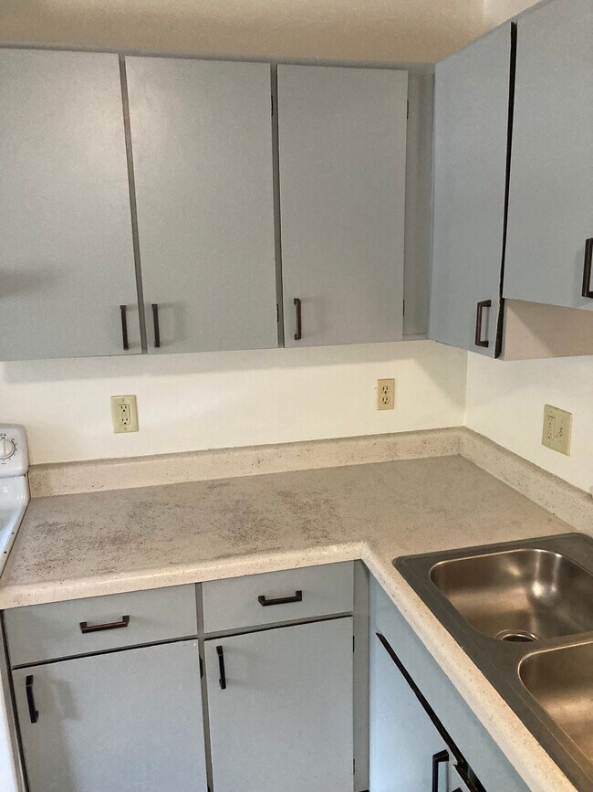 Kitchen counter/cabinets - 2341 S Burberry Ln