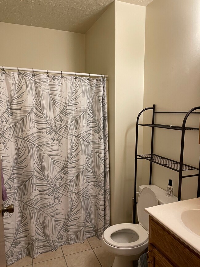 Bathroom--shared with 1 - 103 N Barnard St