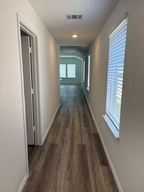 Foto del edificio - 14234 Northern Pintail Ct