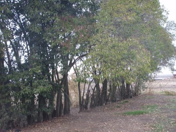 Building Photo - 6527 S Jack Tone Rd