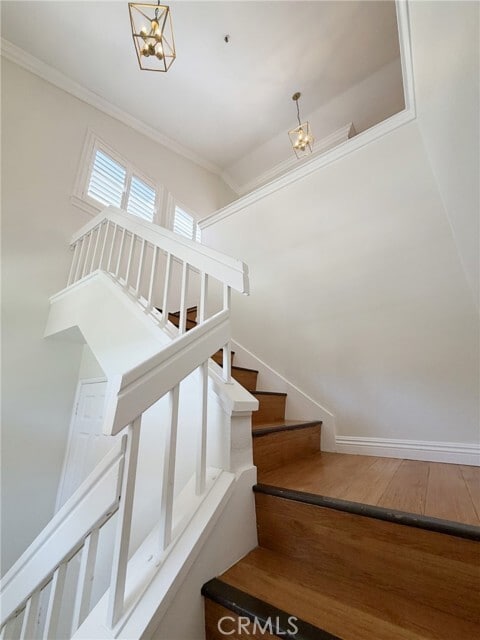 Building Photo - 53 Cartier Aisle