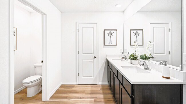 Foto del edificio - 4192 Antigua Wy