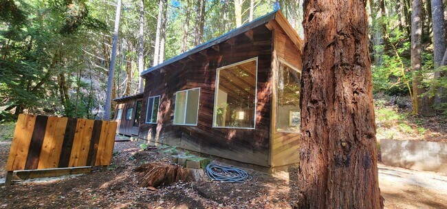 Foto del edificio - Cabin In the Wood!