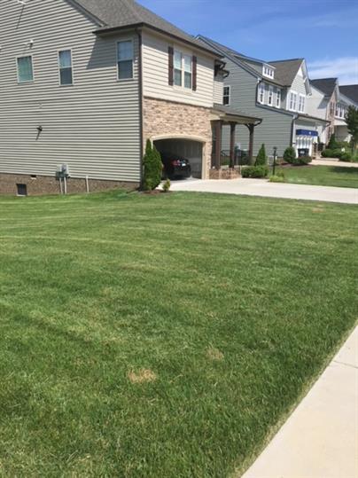 Foto del edificio - 6901 Swanhaven Dr