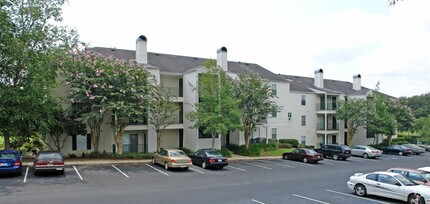 Singles club in tallahassee