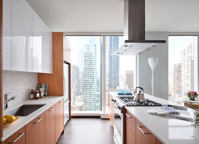 Foto del edificio - 500 N Lake Shore Dr