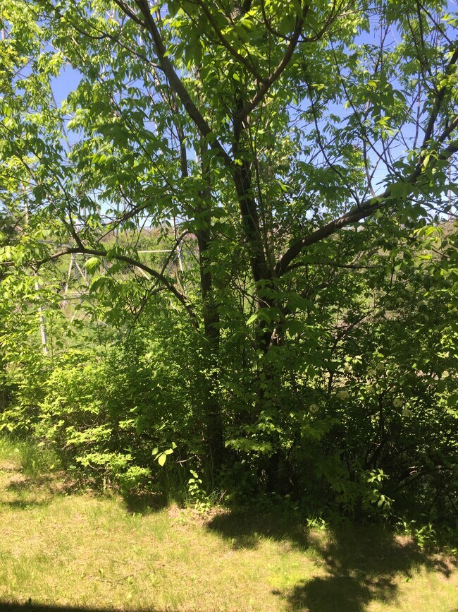 Foto del edificio - 2778 Hidden Dr