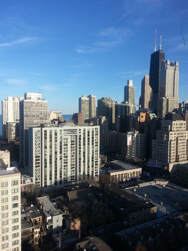 Apartment Living Room View - 1255 N Sandburg Terrace