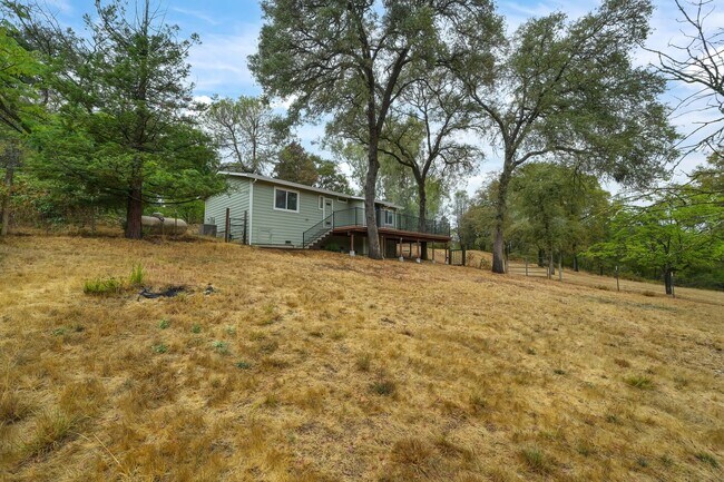 Foto del edificio - Country living close to town