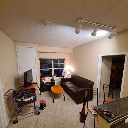living room - 641 Huron Blvd SE
