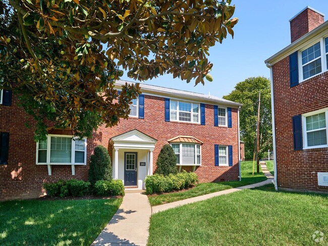 Baltimore visual data 4