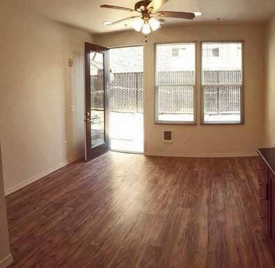 Interior Photo - Louie