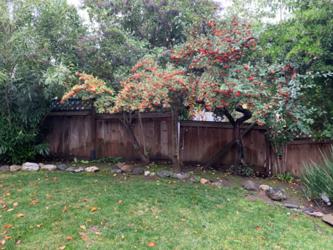 Photo - 1234 Overlook Dr (Walnut Creek, CA) House