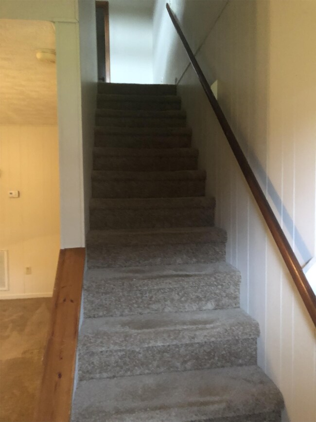 Foto del edificio - 121 Morrisfield Ln