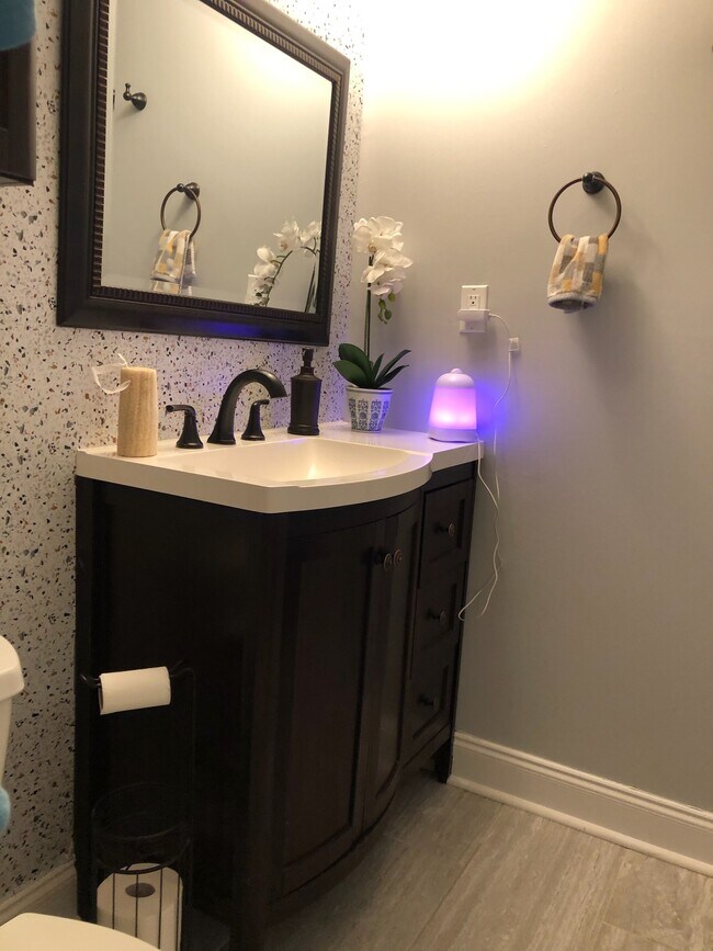 Baño del pasillo - 101 Bowers Ct