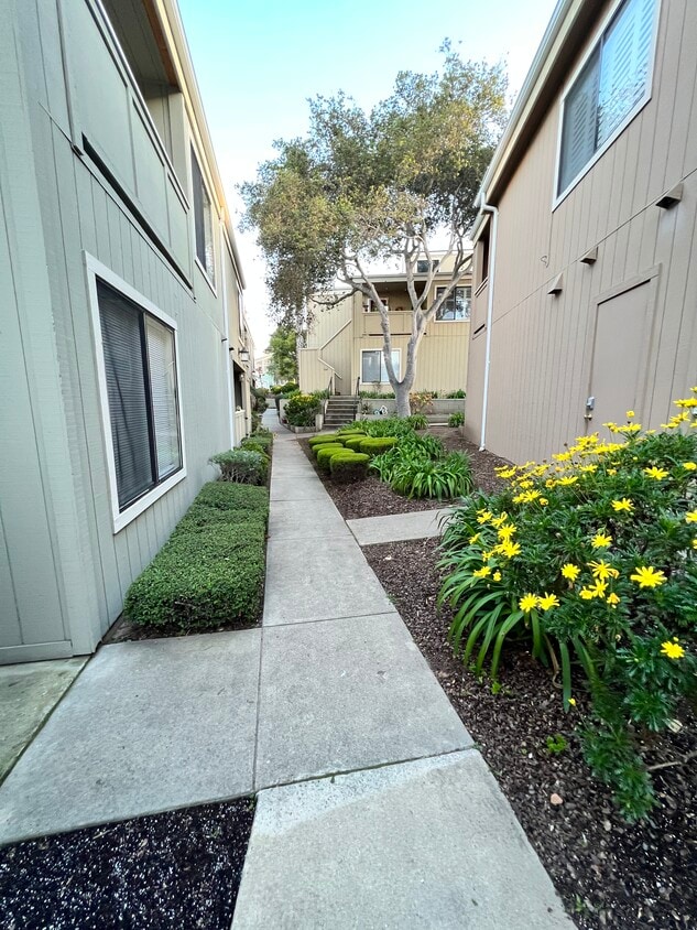 820 Casanova Ave Unit 50, Monterey, CA 93940 Condo for Rent in