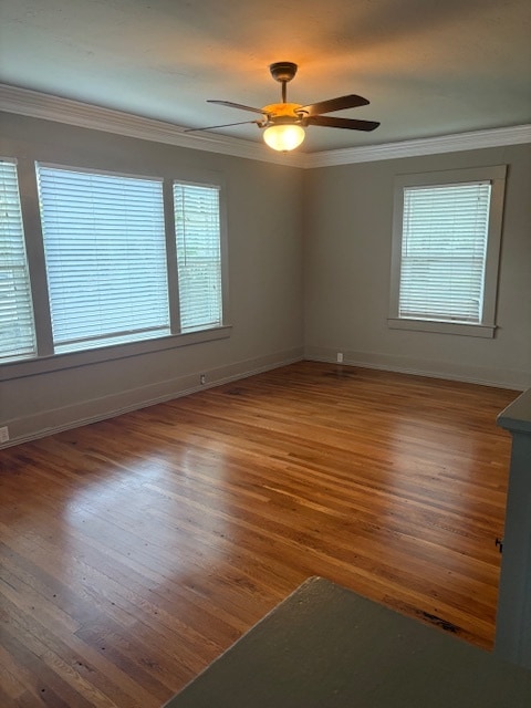 Living Room - 529 Ridge St