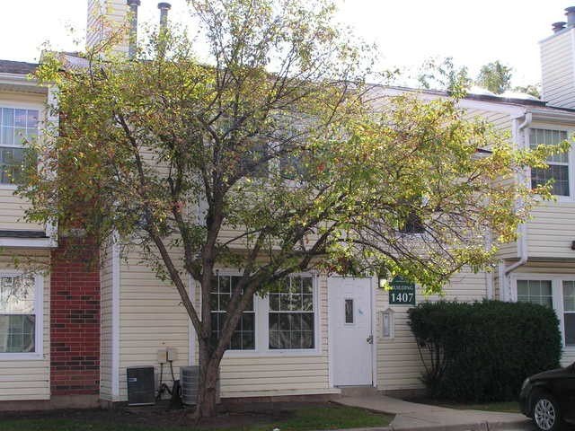 Foto del edificio - 1407 E Wyndham Cir