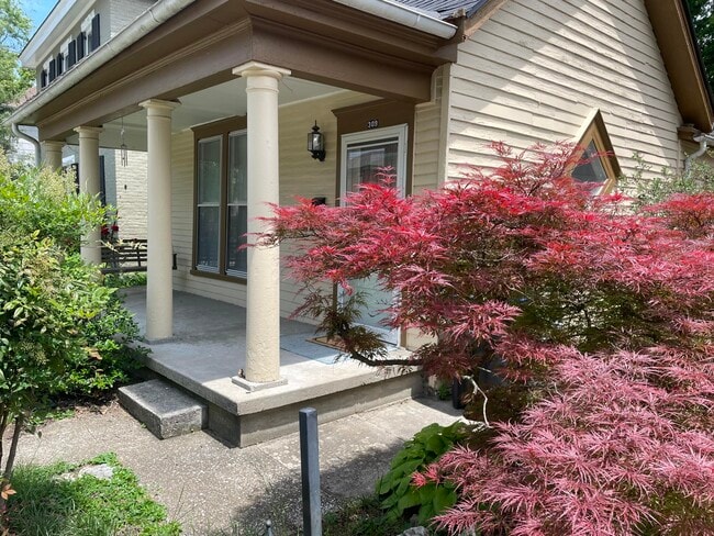 Building Photo - 309 Wilkinson St