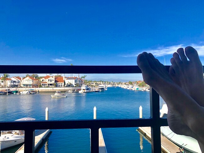 Foto del edificio - 3289 Moritz Dr