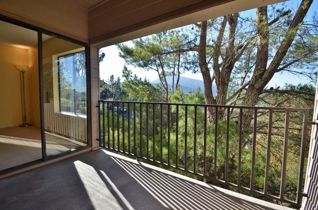 Building Photo - 614 Via Casitas