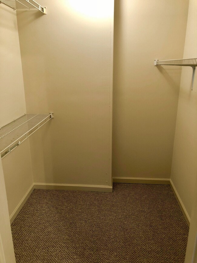 Foto del edificio - 1146 Northwood Loop