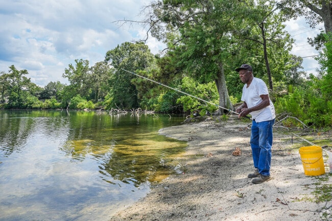 Enjoy nature's bounty at Duncan Lake.