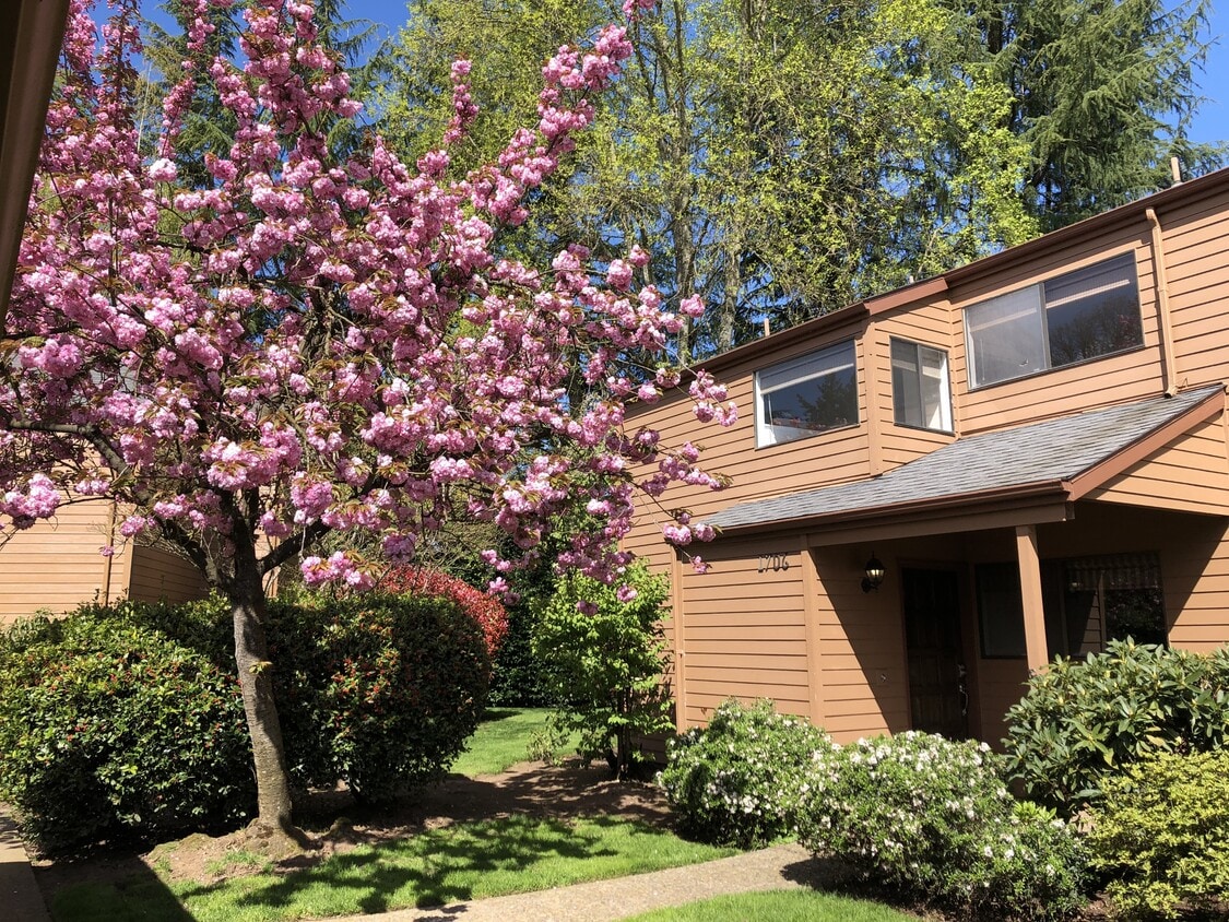 Photo - 1706 Minda Dr (Eugene, OR)