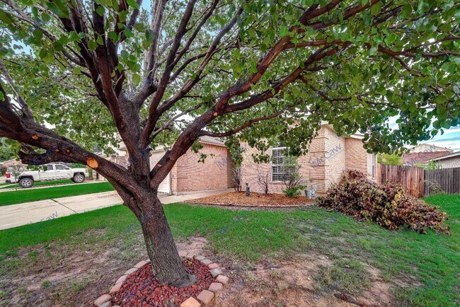 Building Photo - Cute 3/2/2 in Hurst!