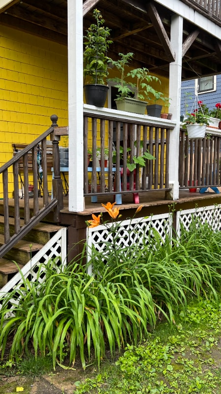 Photo - 152 Raymond St Apartment