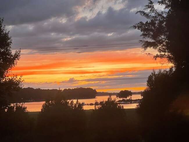 Building Photo - 16015 Kelly Park Cir