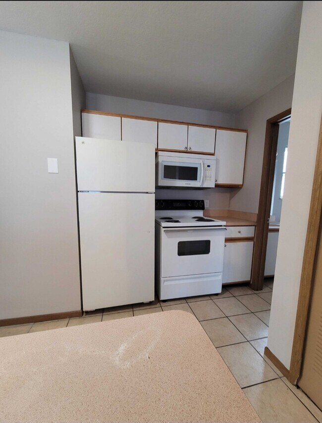 Kitchen - 459 Spicer St