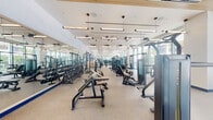 This expansive fitness center is designed to support a comprehensive workout experience across multiple distinct zones. The facility is bathed in natural light, thanks to floor-to-ceiling glass windows lining one side of the space, offering views of palm trees and an outdoor area that contribute to a bright, resort-like atmosphere.

The cardio zone is outfitted with a generous row of treadmills, elliptical trainers, and stationary bikes, all positioned to face the large windows. A dedicated strength training area features an extensive free weights section, including a full dumbbell rack alongside adjustable benches and multiple cable machines. Premium Matrix-branded strength equipment is arranged throughout, providing a wide range of resistance training options.

A glass-enclosed studio area with light wood flooring provides a versatile space for focused training or low-impact workouts, complete with mirrored walls that amplify the sense of openness. Full-length mirrors are strategically placed throughout the main floor to enhance spatial depth and support proper form during exercise.

The interior design features a clean, modern aesthetic with white and light grey walls accented by coastal-inspired artwork and blue base trim. Pendant lighting and ceiling fans run the length of the facility, ensuring consistent illumination and airflow. The rubber-floored main area and wood-accented ceiling elements add warmth and practicality to the overall design.