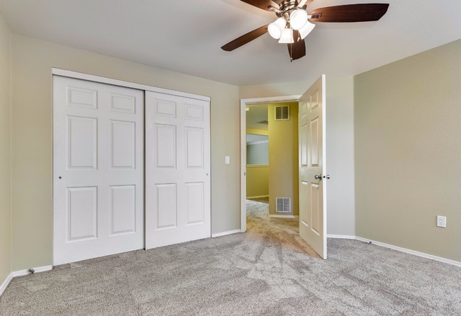 Interior Photo - The Pines Apartments