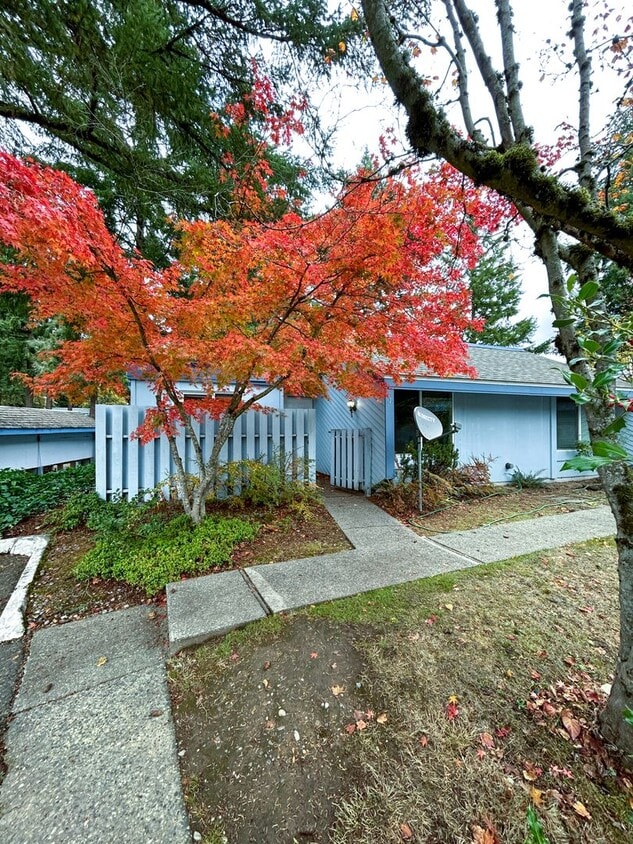 Renton Highlands 1 Bed 1 Bath Condo for Lease! - Renton Highlands 1 Bed 1 Bath Condo for Lease!