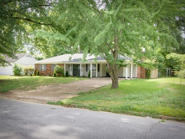 Building Photo - Beautiful Renovated 3 Bedroom 2 Bathroom in Whitehaven!