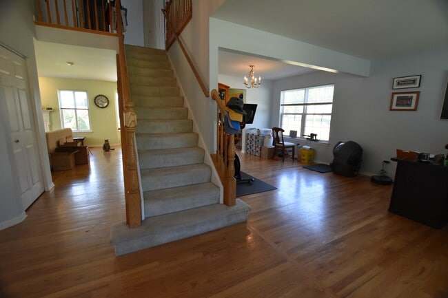 Foto del edificio - 2464 Blue Spruce Ln